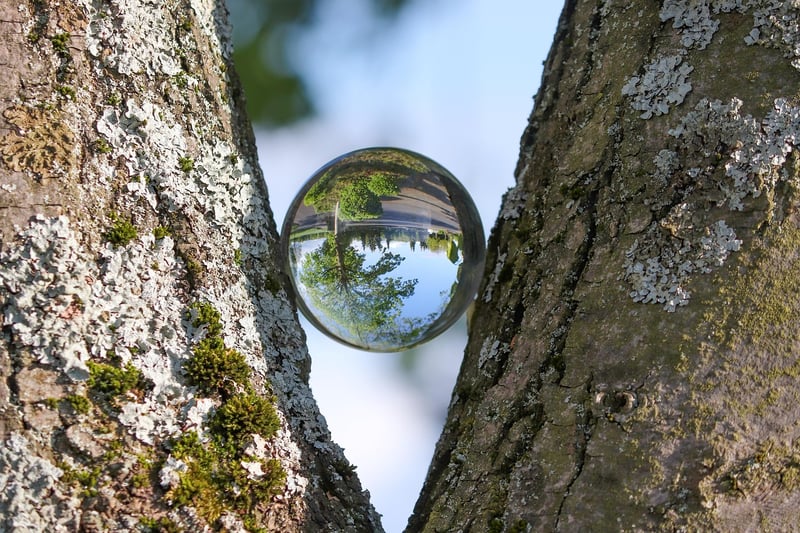 Obscured Insights